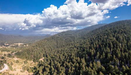 Photo for Fir forest landscape Parnassos Mountain panoramic aerial drone view, blue cloudy sky. - Royalty Free Image
