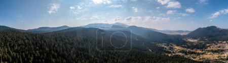 Photo for Fir forest landscape Parnassos Mountain wide panorama aerial drone view, blue cloudy sky. - Royalty Free Image