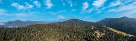 Photo for Mountain fir forest landscape panorama aerial drone view, blue sky. - Royalty Free Image