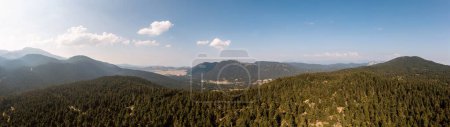 Photo for Fir forest landscape Parnassos Mountain wide panorama aerial drone view. Greece, Boeotia, blue sky. - Royalty Free Image