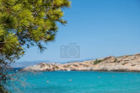 Téléchargez les photos : Agistri île de Aponisos destination plage Grèce. Flou plage rocheuse eau de mer, ciel bleu fond vue dégagée sur la branche de pin. Espace - en image libre de droit