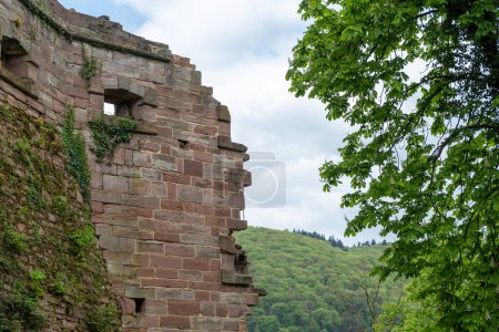 Deutschland, Heidelberger Burg Schutzmauer mit Öffnung zum Schutz vor feindlichen Angriffen. Kriechpflanze auf Ziegelmauer, Blick auf die Natur, wolkenverhangener Himmel.