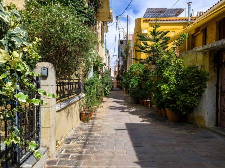 Kreta, Altstadt von Chania, Griechenland. Traditioneller schmaler, leerer gepflasterter Gehweg mit üppiger Topfpflanze zwischen buntem Altbau.
