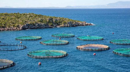 Granja de peces en Grecia. Acuicultura industria pesquera, jaula circular con red de pesca en ondulación azul claro Mediterráneo fondo de agua de mar. Marisco fresco.
