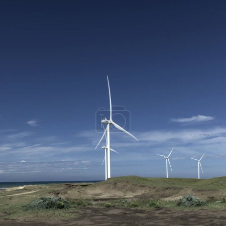 turbinas eólicas en el campo