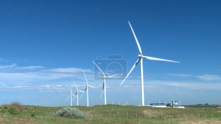 éoliennes sur le terrain
