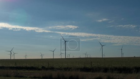 éoliennes sur le terrain