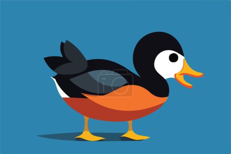 Editable vector DUCK DUCK with isolated background