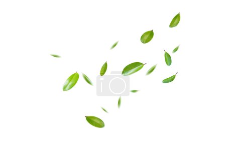 Téléchargez les photos : Feuilles flottantes vertes Feuilles volantes Danse de feuille verte, atmosphère de purificateur d'air Photo principale simple - en image libre de droit