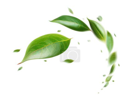 Foto de Las hojas flotantes verdes que vuelan dejan la hoja verde que baila, atmósfera del purificador de aire Imagen principal simple - Imagen libre de derechos