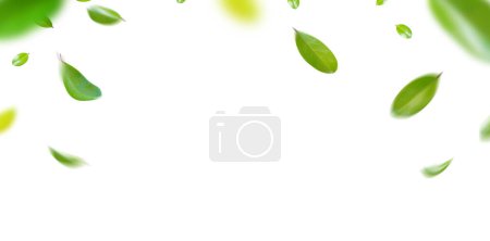Téléchargez les photos : Feuilles flottantes vertes Feuilles volantes Danse de feuille verte, atmosphère de purificateur d'air Photo principale simple - en image libre de droit