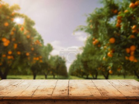 Téléchargez les photos : Table en bois vide avec espace libre au-dessus des orangers, fond de champ orange. Pour le montage d'affichage produit - en image libre de droit