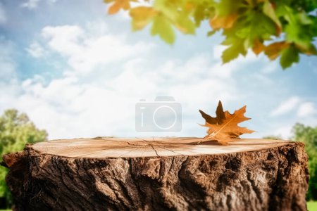 Foto de Tronco de árbol y hojas que vuelan en el cielo en fondo de jardín de té bokeh, se puede utilizar la maqueta para la exhibición de productos de montaje o diseño - Imagen libre de derechos