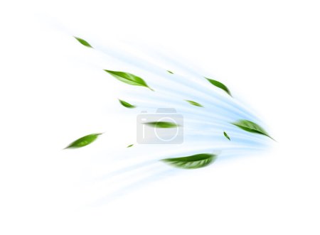 Téléchargez les photos : Feuilles flottantes vertes Feuilles volantes Feuilles vertes Danse sur fond blanc - en image libre de droit
