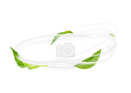Photo for Green Floating Leaves Flying Leaves Green Leaf Dancing on white background - Royalty Free Image