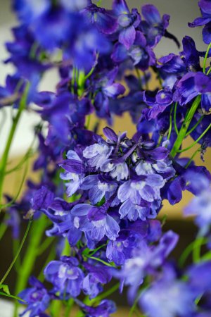 Téléchargez les photos : Un beau bouquet de fleurs violettes exposées dans un vase sur un fond blanc, offrant beaucoup d'espace de copie. - en image libre de droit