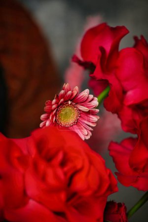 A bunch of red flowers sits on top of a table, providing a vibrant display with plenty of copy space.