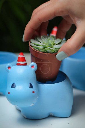 Photo for A person is seen putting a succulent plant in a pot, with copy space available. - Royalty Free Image