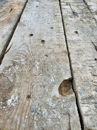 Detailed view of a weathered piece of wood with various holes of different sizes in it.