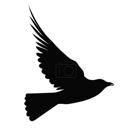 Ilustración de Silueta de pájaro negro aislada sobre fondo blanco. Pájaro volador. Ilustración vectorial - Imagen libre de derechos