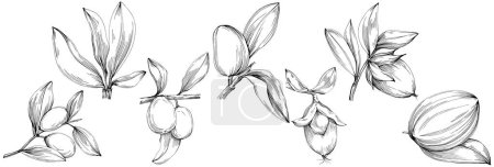 Téléchargez les illustrations : Line art floral decor vector illustration on white - en licence libre de droit