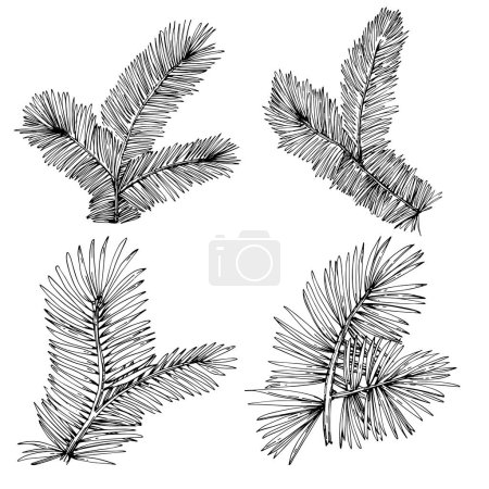 Ilustración de Fir branches set vector illustration on white - Imagen libre de derechos
