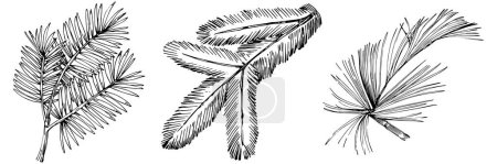 Illustration for Wildflower fir-needle tree pattern in a one line style. Outline of the plant: Black and white engraved ink art needle. Sketch wild flower for background, texture, wrapper pattern, frame or border. - Royalty Free Image
