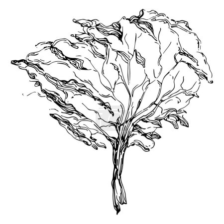 Téléchargez les illustrations : Croquis d'arbre détaillé dessiner à la main des silhouettes. Elément d'illustration nature noir et blanc. - en licence libre de droit