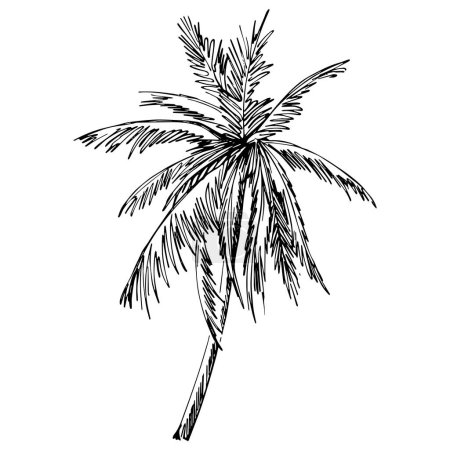Téléchargez les illustrations : Detailed tree sketch hand draw silhouettes. Black and white nature illustration element. - en licence libre de droit