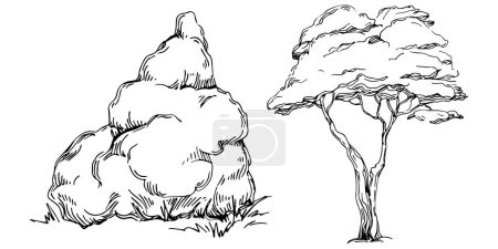 Téléchargez les illustrations : Detailed tree sketch hand draw silhouettes. Black and white nature illustration element. - en licence libre de droit