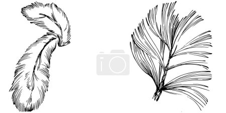 Téléchargez les illustrations : Wildflower fir-needle tree pattern in a one line style. Outline of the plant: Black and white engraved ink art needle. Sketch wild flower for background, texture, wrapper pattern, frame or border. - en licence libre de droit