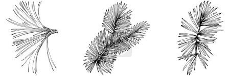 Téléchargez les illustrations : Wildflower fir-needle tree pattern in a one line style. Outline of the plant: Black and white engraved ink art needle. Sketch wild flower for background, texture, wrapper pattern, frame or border. - en licence libre de droit