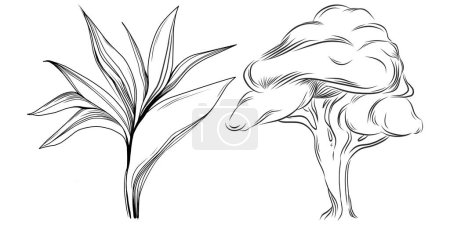 Illustration for Tropical tree with leaves, black silhouettes isolated on white background. Vector - Royalty Free Image
