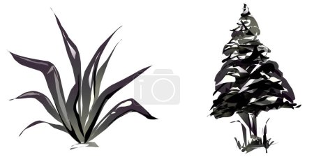 Illustration for Tropical tree with leaves, black silhouettes isolated on white background. Vector - Royalty Free Image