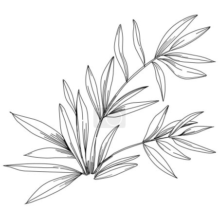 Téléchargez les illustrations : Arbre tropical aux feuilles, silhouettes noires isolées sur fond blanc. Vecteur - en licence libre de droit