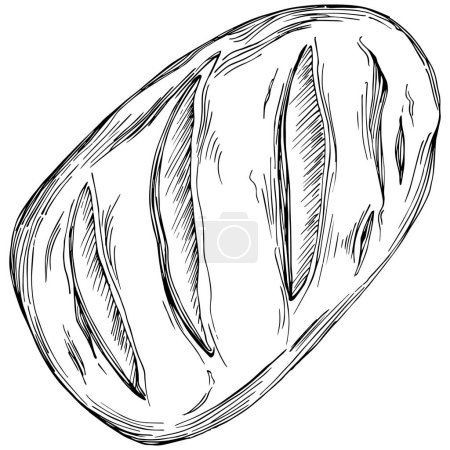 Illustration for Bread hand drawn illustration - Royalty Free Image
