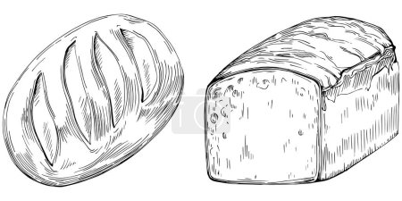 Téléchargez les illustrations : Bread hand drawn illustration - en licence libre de droit