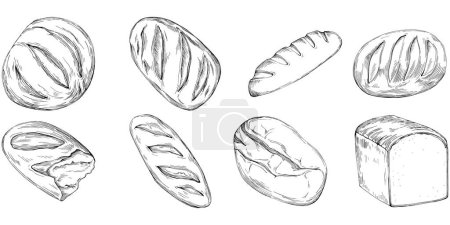Illustration for Bread hand drawn illustration - Royalty Free Image