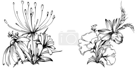 Illustration for Vector illustration of a black and white engraved flowers. decorative element for coloring book, wrapper-drawn. - Royalty Free Image