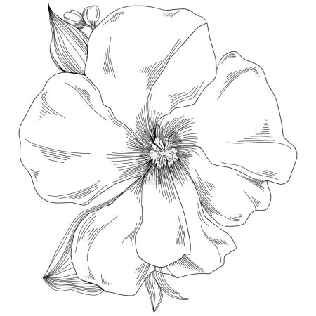 Ilustración de Ilustración vectorial de flores grabadas en blanco y negro. elemento decorativo para colorear libro, envoltura dibujado. - Imagen libre de derechos