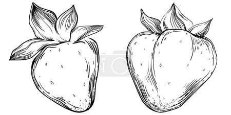 Illustration for Hand-drawn cartoon of fresh fruit, illustration - Royalty Free Image