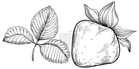 Téléchargez les illustrations : Dessin animé à la main de fruits frais, illustration - en licence libre de droit