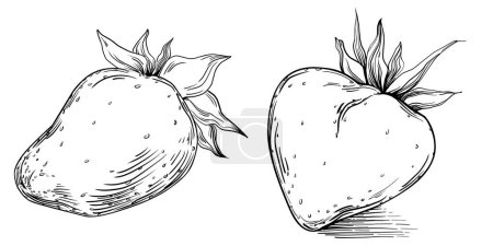 Téléchargez les illustrations : Dessin animé à la main de fruits frais, illustration - en licence libre de droit