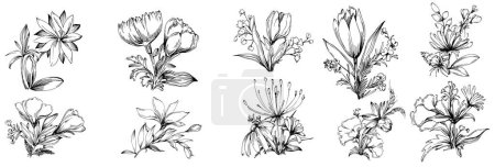 Illustration for Vector illustration of a black and white engraved flowers. decorative element for coloring book, wrapper-drawn. - Royalty Free Image