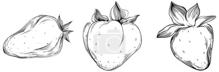 Illustration for Hand-drawn cartoon of fresh fruit, illustration - Royalty Free Image