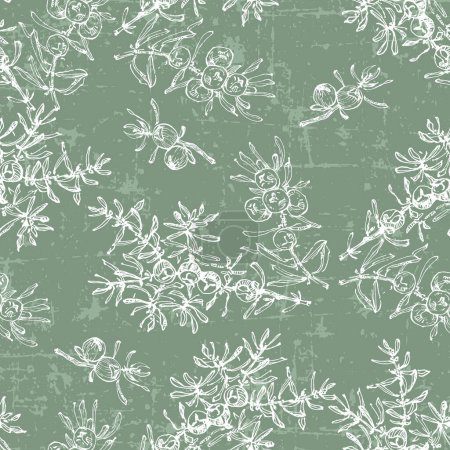 Illustration for Hand drawn juniper seamless pattern. Juniper berries with leaves on shabby background. Original simple flat illustration. Shabby style. - Royalty Free Image