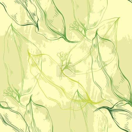 Illustration for Bay leaf. Floral botanical flower. Isolated illustration element. Vector hand drawing wildflower for background, texture, wrapper pattern, frame or border. - Royalty Free Image