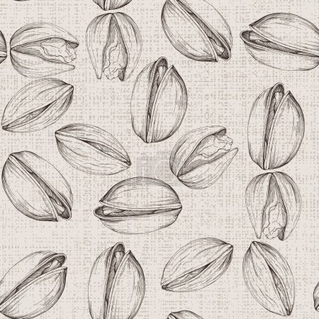 Illustration for Pistachios drawn sketch. Seamless pattern. Vintage style. Botanical drawing. Nut collection. - Royalty Free Image
