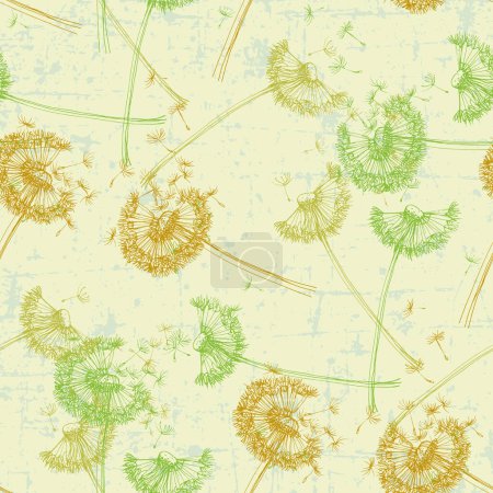 Illustration for Seamless dandelion pattern, vector plant. - Royalty Free Image