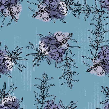 Illustration for Seamless pattern with juniper: berries juniper and a branch. Cosmetics and medical plant. Hand drawn illustration Vintage holiday decor. - Royalty Free Image
